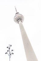 Fernsehturm am Alexanderplatz in Berlin